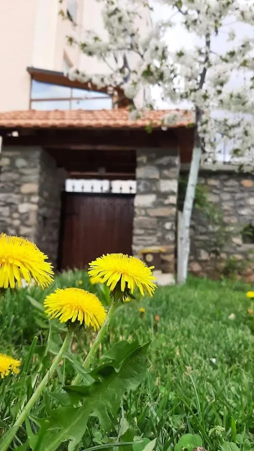 Guesthouse Tershana Peshkopi